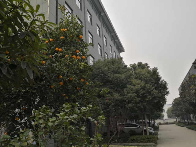 �S(ch��ng)�^(q��)�h(hu��n)��